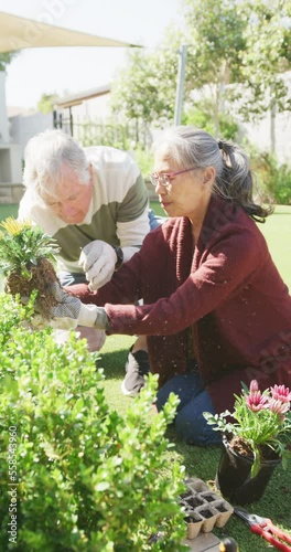 Wallpaper Mural Vertical video of happy diverse senior couple working in garden Torontodigital.ca