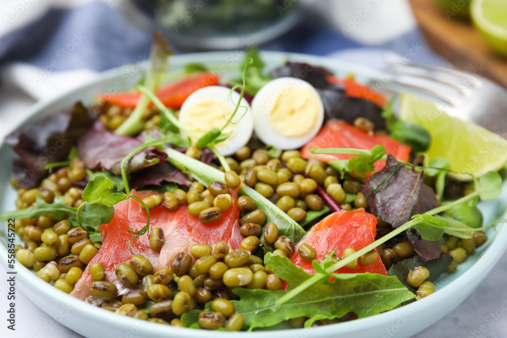 Plate of salad with mung beans, closeup view Plate of salad with mung beans, closeup view