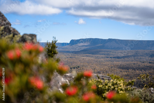 view of bastions bluff and the waratahs