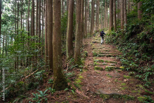 Obraz na płótnie Tourist walking the Kumano Kodo trail on stone steps. Kumano Kodo is a series of ancient pilgrimage routes that crisscross the Kii Hanto peninsula of Japan. w salonie