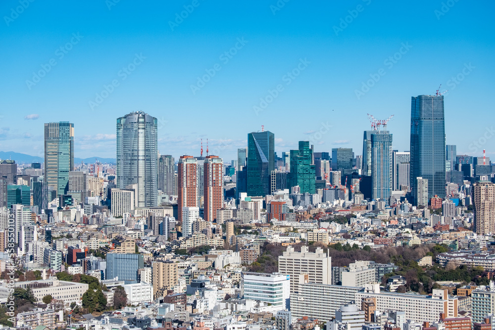 Obraz premium 日本の首都東京都の都市風景