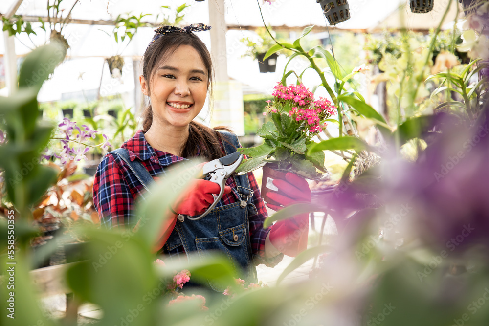 Beautiful Asian woman gardener working inside the propagation table at plant nursery garden center and holding flowers pot in ornaments florists shop. Beautiful Asian woman gardener working inside the propagation table at plant nursery garden center and holding flowers pot in ornaments florists shop.
