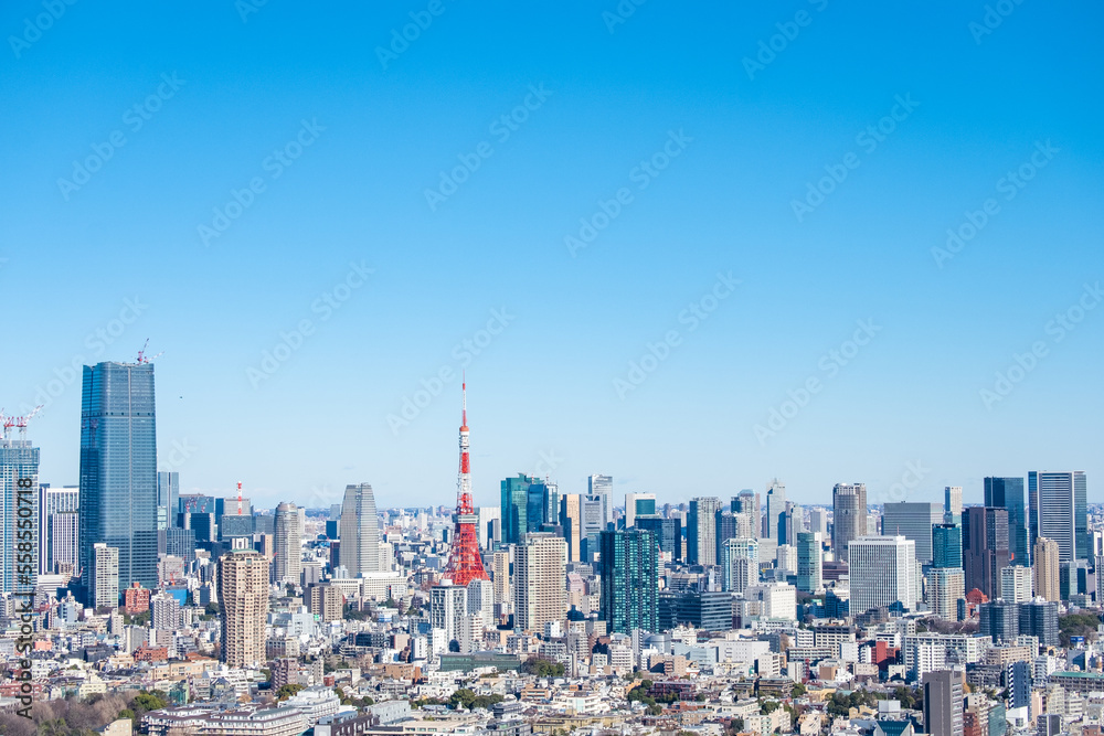 Fototapeta premium 日本の首都東京都の東京タワーとビル郡