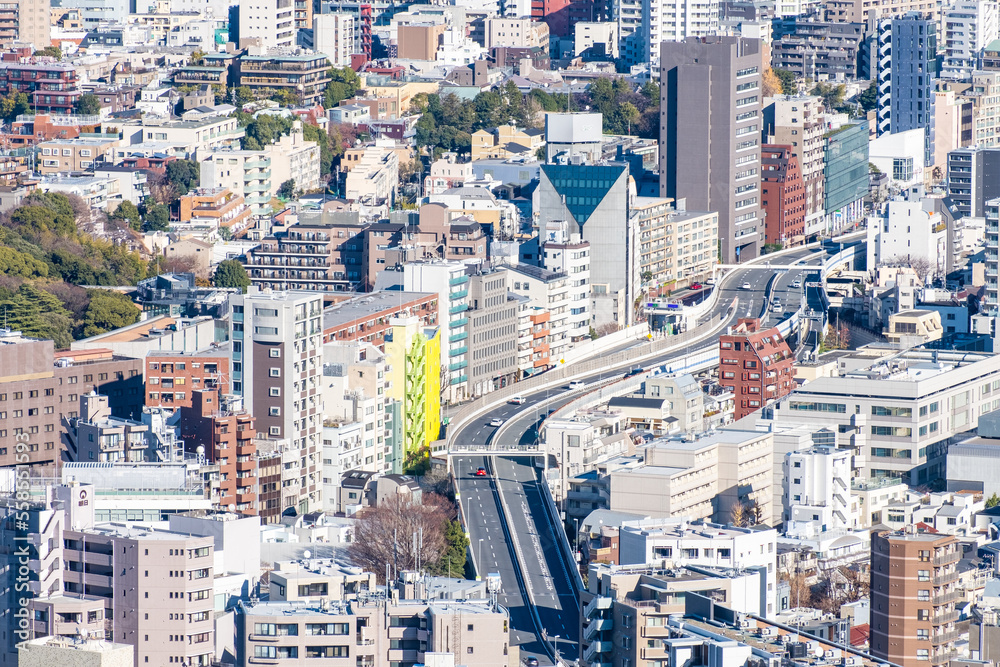 Fototapeta premium 日本の首都東京都の都市風景