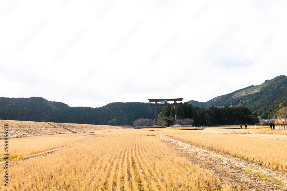 Fototapeta premium 「熊野本宮大社旧社地 大斎原(世界遺産 紀伊山地の霊場と参詣道)」in 和歌山県