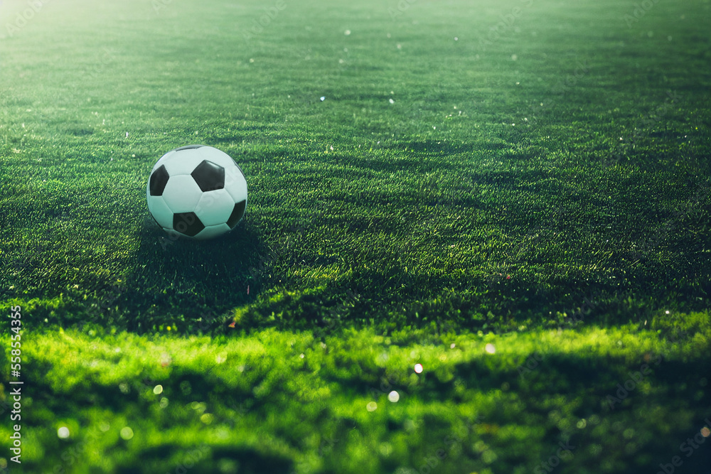 soccer ball lies on the green turf, generative AI