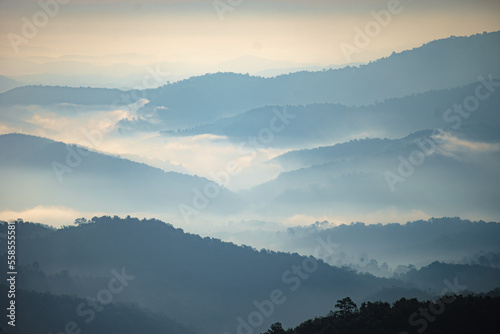 An image landscape forest layer mountain and fog or mist in the travel day vacation in the tourist in start the day winter atmosphere background.