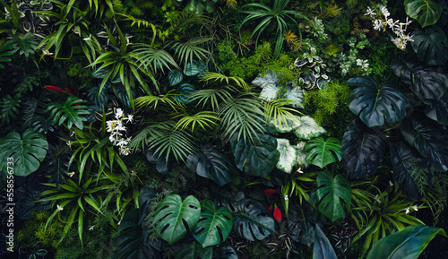 Fototapeta Naklejka Na Ścianę i Meble -  Creative nature green background, tropical leaf banner or floral jungle pattern concept.	