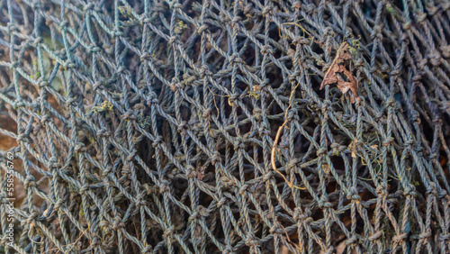 fish mesh texture as background