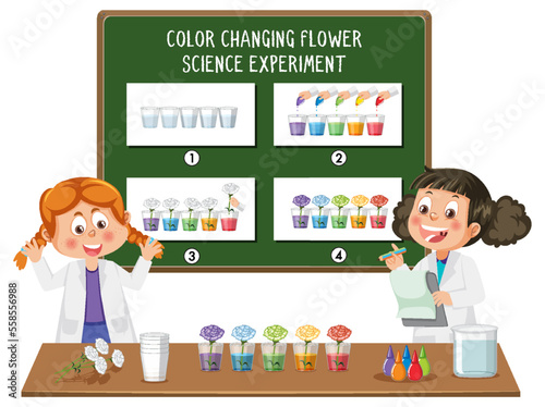 Student explaining color changing flower science experiment