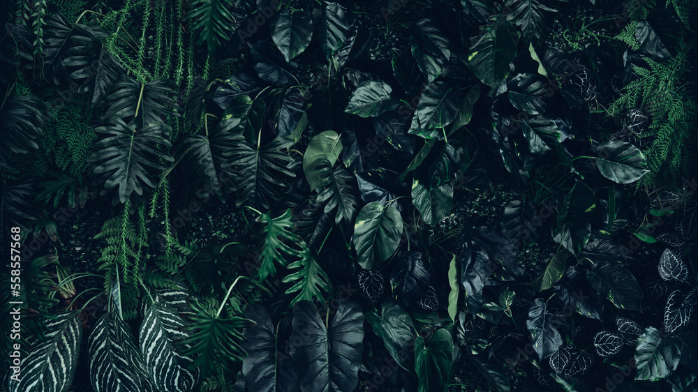 custom made wallpaper toronto digitalCreative nature green background, tropical leaf banner or floral jungle pattern concept.