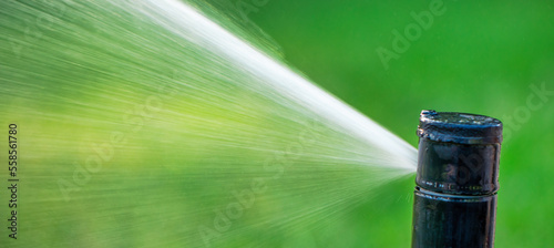 automatic sprinkler system watering the lawn close up photo