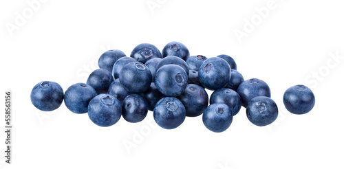 Obraz na plátně Fresh blueberry  isolated on transparent png