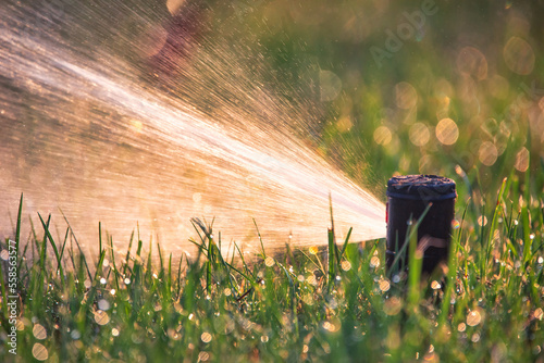 automatic sprinkler system watering the lawn close up photo