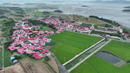 신안섬_02 Pink Island in Korea Drone FHD 60P