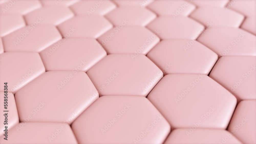 Loop animation of Surface Of The Skin sell. Loop animation of Surface Of The Skin sell.