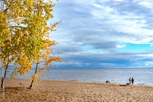 Eco-trail Komarovsky Bereg. Sunny autumn day on the shore of the Gulf of Finland