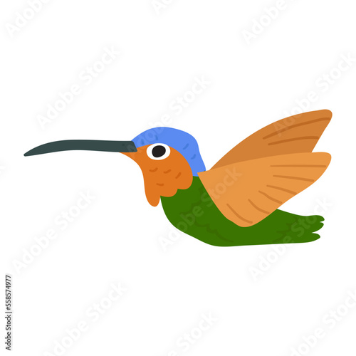 Flying hummingbird. Vector flat illustration on white background.