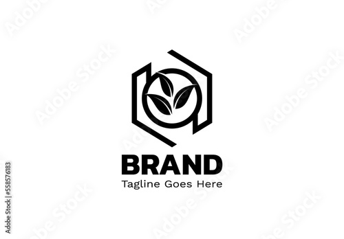 Hexagonal and leaf logo for environment and nursery logo