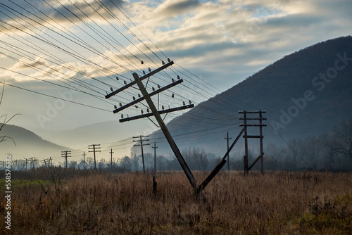 Obraz na plátně Autumn field with fallen electric poles at dawn