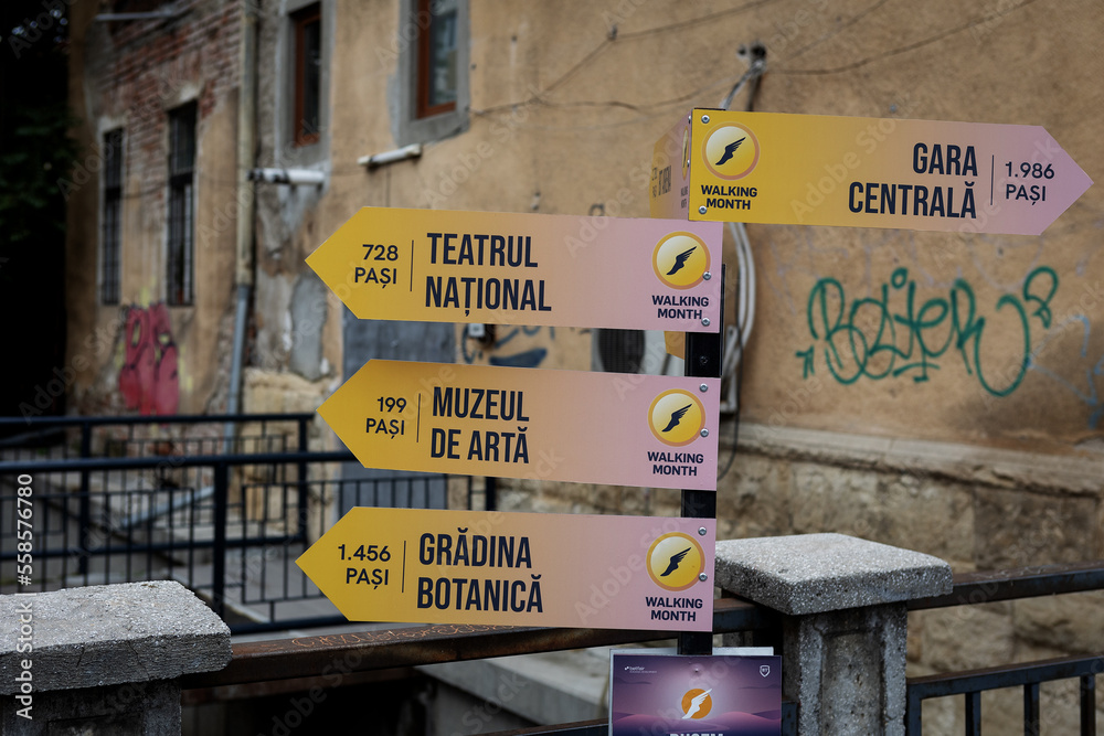 Fototapeta premium City, street, community, human settlement.