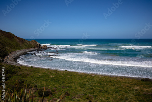 View of Roaring Bay, Catlins, New Zealand