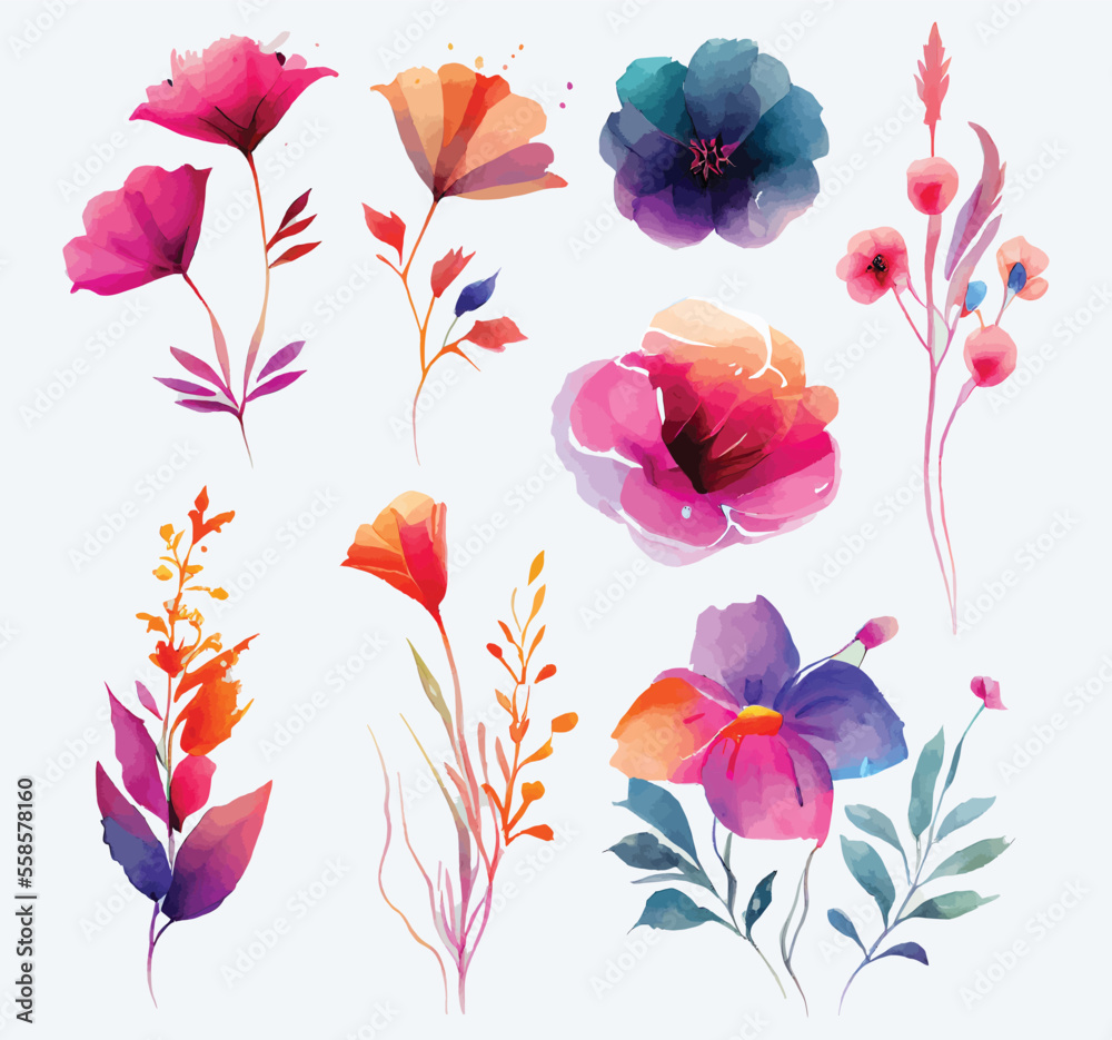 collection of flowers Beautiful Watercolor set of Design Ornaments collection of flowers Beautiful Watercolor set of Design Ornaments