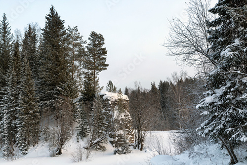 Winter landscape, old stone wall among coniferous trees. © Marina