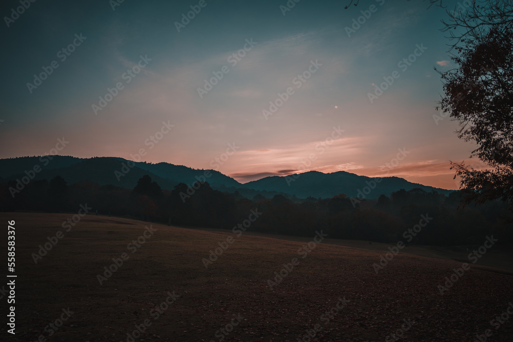 Fototapeta premium 奈良の夜明け