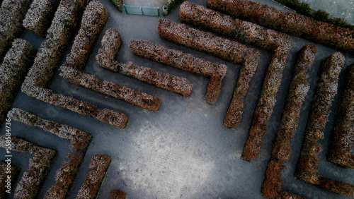 the hornbeam maze together with the park walkways form a compact maze for children and adult visitors. view from above. frostbitten or cold. L square, door, yard, gray, gravel path, natural puzzle photo