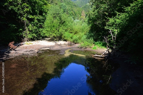 Landscape with small calm summer mountain pond  reflecting dense forest foliage around. Location sutov creek  Little Fatra mountains  northern Slovakia  