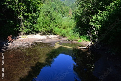 Landscape with small calm summer mountain pond, reflecting dense forest foliage around. Location sutov creek, Little Fatra mountains, northern Slovakia, 
