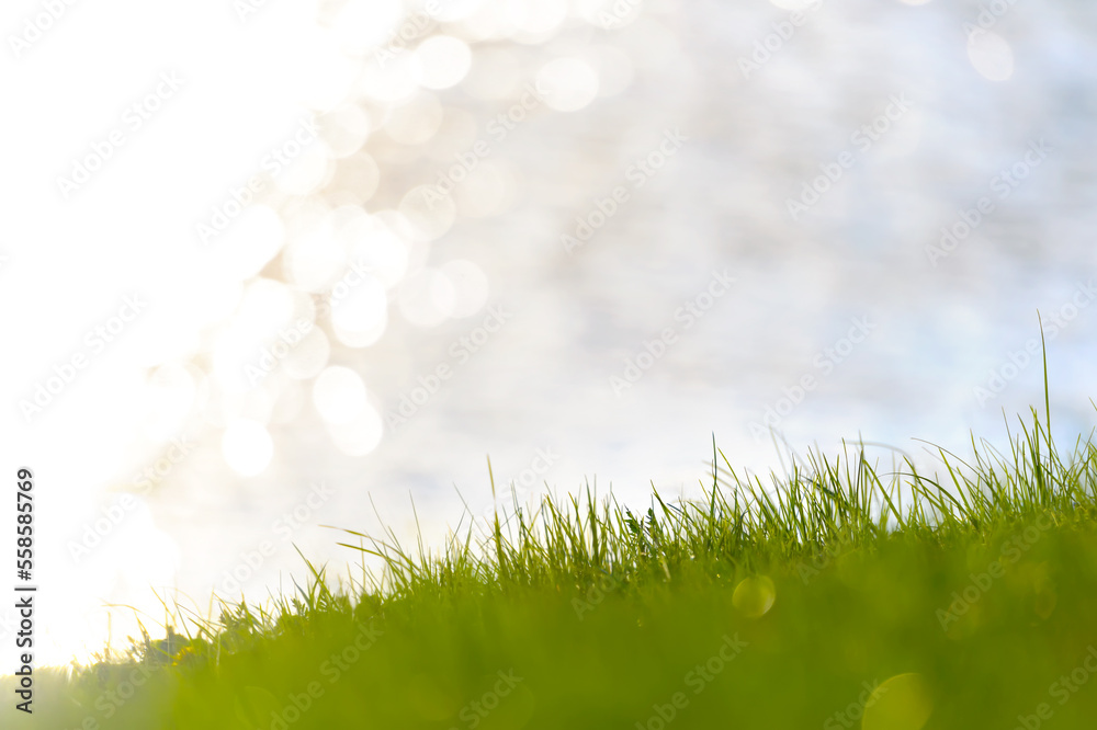 Green grass field against a blurred water surface with beautiful bokeh, in a magical sunny spring day. Selective focus, defocused water ripples. Spring concept design for posters or banners