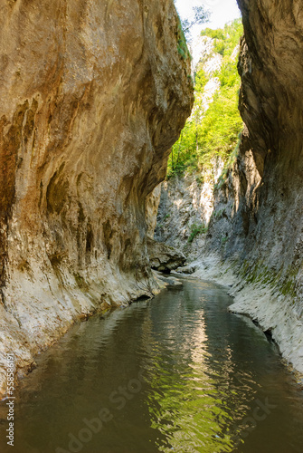 A mountain stream flowing through a canyon narrowed by vertical stone walls. The sharp, rocky cliffs of Ramet Gorges or Cheile Rametului ( Romania) during summer season in a sunny day. Natural tunnel