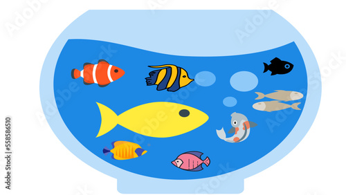 vector illustration of an aquarium with many colorful fish © photography option