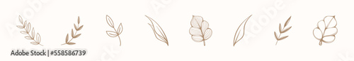 Set of line art floral botanical abstract leaves and branches. Outline design elements isolated on background, vector illustration
