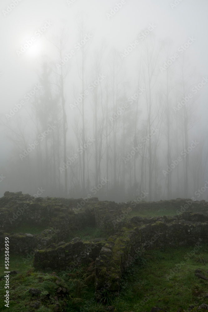 Foggy moorning in Galician old celtic ruins, Spain