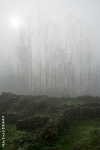Foggy moorning in Galician old celtic ruins, Spain