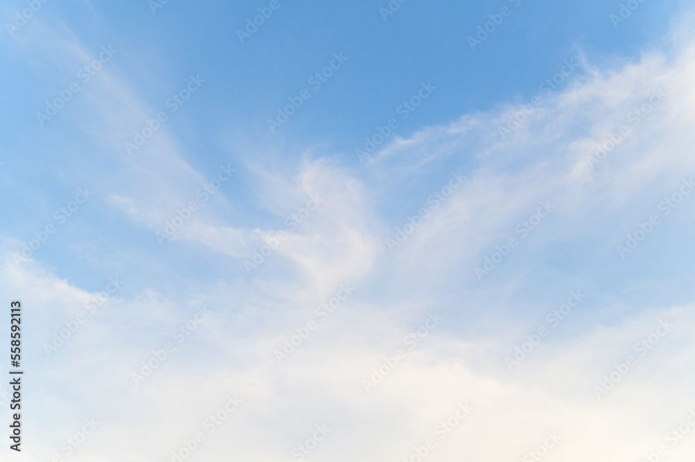 blue sky in summer day