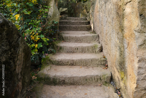 Old stone stairs steps historical ancient places vegetation on side 