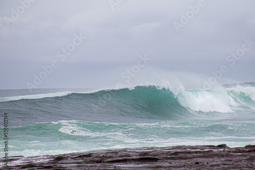 waves on the beach photo