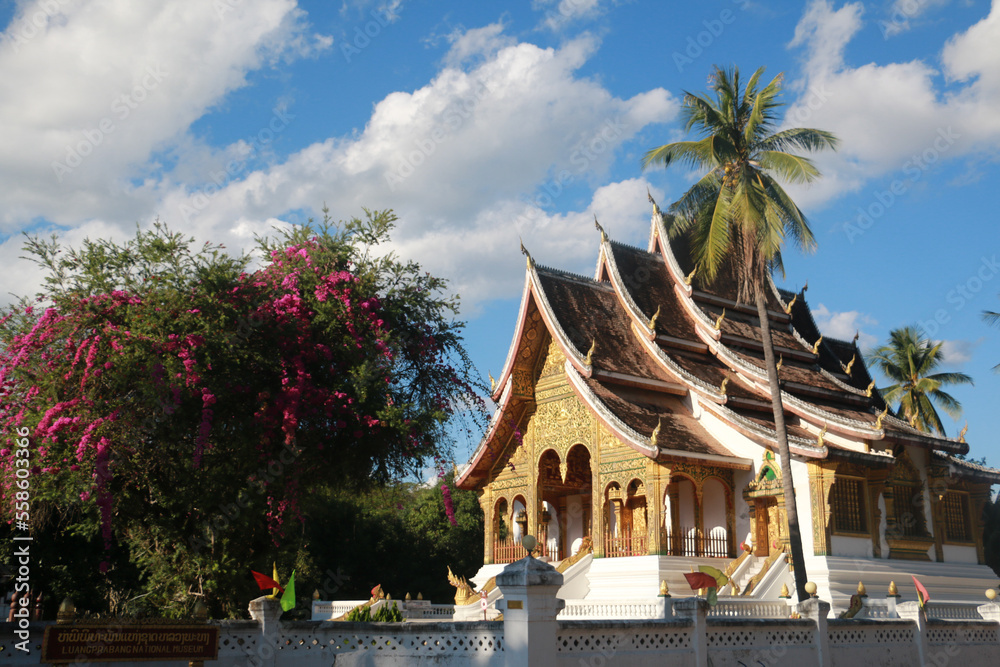 Obraz premium Trip to Luang Prabang at the Mekong River in Laos, Roundtrip in Asia to different temple and pagodas