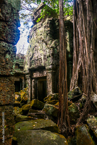 Amazing wallpaper of angkor wat with trees in cambodia. Angkor temple in siem reap © Andreas