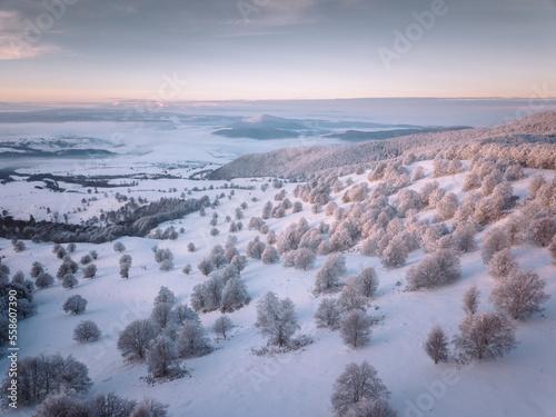 Beautiful winter panorama w...