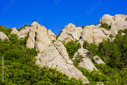 rocks on a mountain with a cliff covered with forest and pine trees, bushes against a bright blue sky in sunny weather in summer in the Crimea in Ukraine in Europe