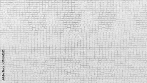 Brick Texture white background