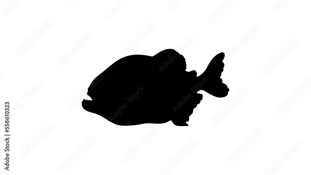 piranha silhouette piranha silhouette