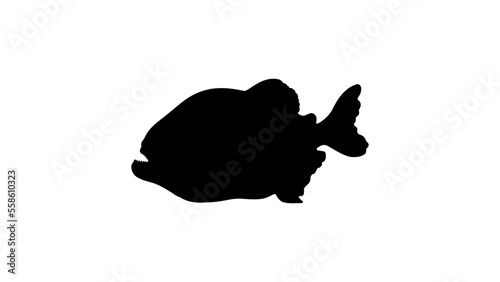 Tableau sur toile piranha silhouette