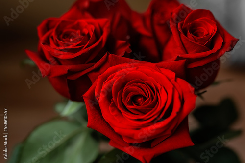 Five burgundy roses. Bouquet of fresh roses. Image with selective focus  shallow depth of field and blurred background. Beautiful roses on dark background