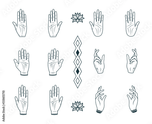 Set of 12 palmistry hands. Hand drawn vector illustration isolated on white background. © Kirill